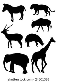 Silhouettes wild animals