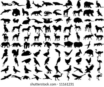 silhouettes wild animals 3