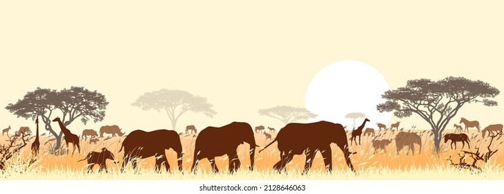 Silhouettes of wild animals of the African savanna, against the background of trees and the sun.