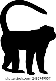 Silhouettes of wild animals, monkeys and orangutans, black images on a white background logo monkey 