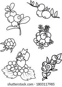 Silhouettes of wild berries. Perfect for designing social networks, postcards, business cards.