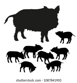 Silhouettes of wild boar sow with piglets. Vector illustration isolated on white background