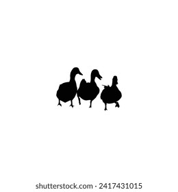 Silhouettes of wild and domestic ducks.
Wild and domestic duck silhouette for web and app. Duck icon. Black silhouette isolated on white background. Vector
