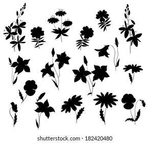 Silhouettes of wild flowers. Isolated on white. Vector illustration.