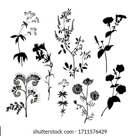 Free Free 83 Silhouette Wildflower Svg SVG PNG EPS DXF File