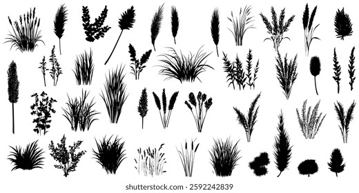 Silhouettes of Wild Grass Tufts Isolated for a Dynamic Design Element and Versatile Backgrounds