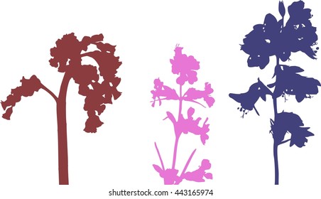 Silhouettes of wildflowers