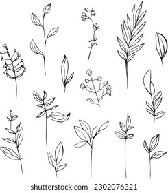 Silhouettes de flores silvestres de líneas simples sobre un fondo blanco diseñan hermosos elementos botánicos. dibujos de hojas botánicas, un conjunto de hojas dibujadas a mano, y arte vectorial de hojas, aislado en blanco