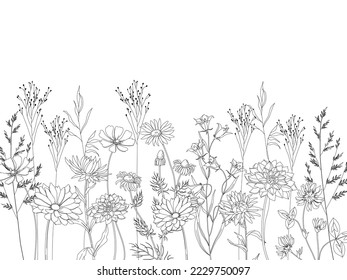 Silhouettes de flores silvestres. Hierba salvaje. Borde vectorial de verano gris. Flor silvestre en un prado, ilustración de una silueta negra de una planta botánica.