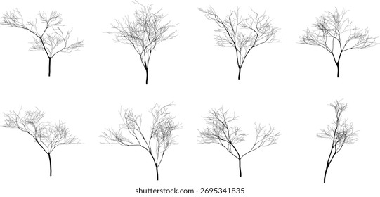 Siluetas de árboles de invierno sobre fondo blanco Siluetas artísticas de árboles naturales