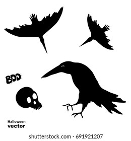 Silhouettes of witch ravens and skull. Halloween element design.