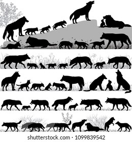 Silhouettes of wolves and its cubs outdoors