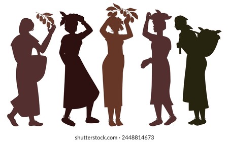 Silhouettes of women with coffee beans, vector illustration isolated on a white background. Women picking coffee, outline image.