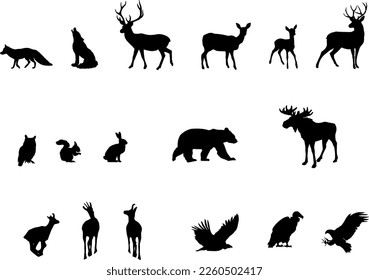 Silhouettes of woodland animals isolated on white background. Deer, doe, favn, moose, bear, fox, hare, owl, bird of prey, chamois, wolf, squirrel.