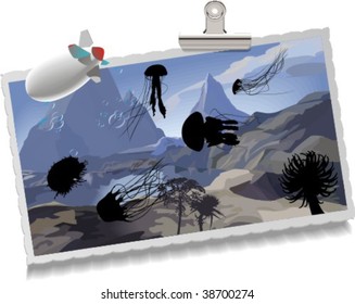 Silhouettes,jellyfish, vector illustration