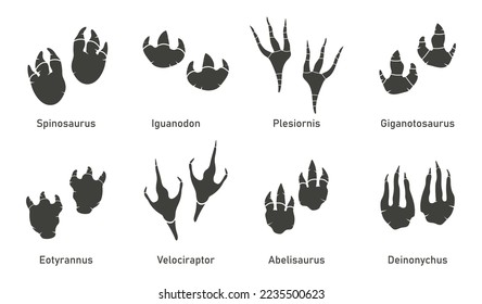 Silhoutte dinosaur footprint vector set. Paleontology, history vintage. Paleontology dinosaur traces illustration. Predator animal foots of ancient biology.