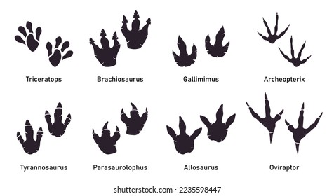 Juego de vectores de huellas de dinosaurios de Silhoutte. Paleontología, cosecha de historia. El dinosaurio de la paleontología traza la ilustración. Pimientos animales depredadores de la biología antigua.