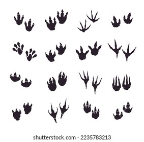 Silhoutte dinosaur footprint vector set. Paleontology, history vintage. Paleontology dinosaur traces illustration. Predator animal foots of ancient biology.