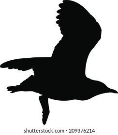 Silhoutte Seagull Bird