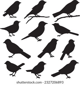 Silhuette bird animal images and white background