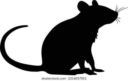 Silhuette rat animal black and white images