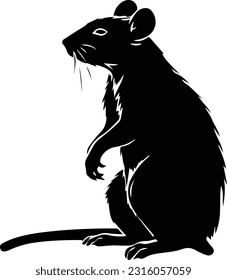 Silhuette rat animal black and white images