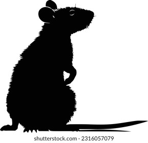 Silhuette rat animal black and white images