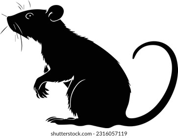 Silhuette rat animal black and white images