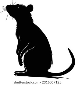 Silhuette rat animal black and white images