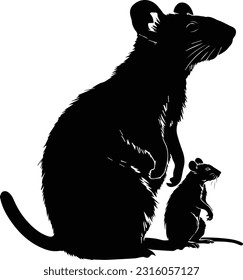 Silhuette rat animal black and white images
