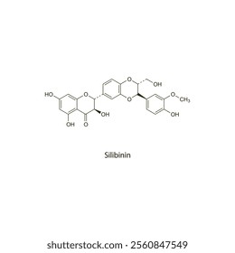 Silibinin flat skeletal molecular structure milk thistle extract drug used in amanita poisoning treatment. Vector illustration scientific diagram.