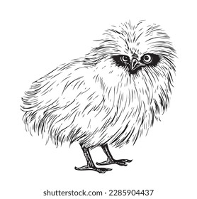 Silk chicken sketch hand drawn in doodle style illustration