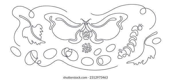 Silk moth, worms, larva, caterpillar, cocoons isolated on white background. Vector butterfly life cycle illustration.