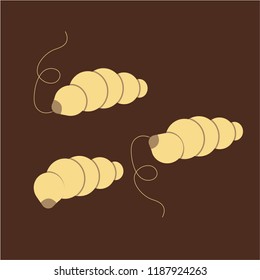 silk worms thai