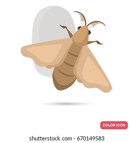 Silkworm and cocoon color flat icon for web and mobile design