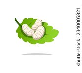 Silkworm cocoon on leaves vector isolated,