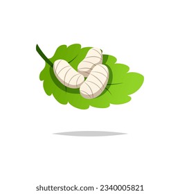 Silkworm cocoon on leaves vector isolated,