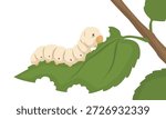 Silkworm eating leaf on white background