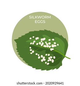 Silkworm eggs on a green leaf of a mulberry tree. This is great as a learning tool . Vector illustration, isolated.