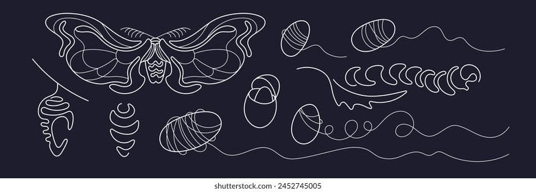 Seidenraupe, Line Cocoon. Metamorphose, Schmetterlinge Lebenszyklusstadien, Raupe, Chrysalis. Fliegende Kreatur. In: Entomology Theme. Handgezeichnete Vektorillustration isoliert. Bearbeitbarer Strich