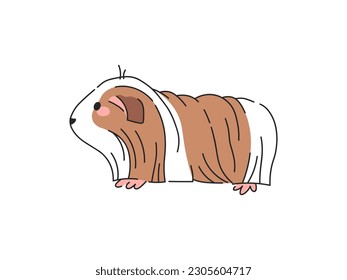 Silky Guinea Pig Cartoon Vector Illustration. Isolated icon on white background.