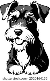 Silky Terrier, dog head, vector illustration, black color, vector image