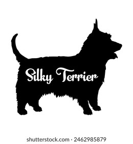 Silky Terrier Dog silhouette dog breeds logo dog monogram vector