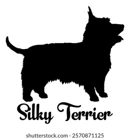 Silky Terrier dog silhouette, dog breeds, logo, vector, silhouette,  animal, illustration, icon, sign, design, black, symbol, pet, love
