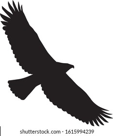 Sillhouette of flying eagle vector on white background