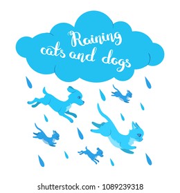 Silly cats and dogs poster with handwritten inscription. Raining cats and dogs card with hand drawn lettering. Flat style illustration isolated on white background. Editable vector graphics in EPS 8.