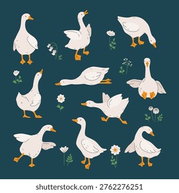 Silly goose. White geese or ducks and wildflowers. Agriculture, birds farm. Rural wildlife. Silly goose for greeting, invitation cards, baby shower, Easter, nursery, t-shirt prints. Vector illustration isolated