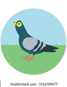 A silly looking happy pigeon