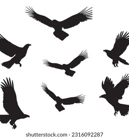 silohouttes of eagles flying in black and white