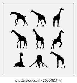siluet animal Wild series black white